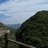 鑫鑫鑫鑫人