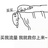 一抹阳光