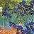 Pointillism