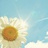 happinesslove