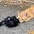 香肠猫