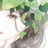 LLTTICE--
