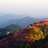 东村西垣