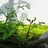沙纳花园设计