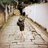复兴西路_133