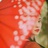 Aphrodite