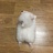 鱼香肉瓜子仁