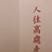 东京荷里活