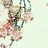 妲荭