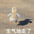 妈妈在家