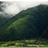 浓田味道