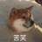 紫薯地瓜叶