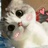 桃子走走看看
