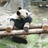 差不多医生