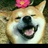 非xianbq