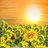 ☀敏仔☀