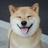 二狗学投资