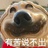 不将就