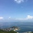 豆豆的瓣
