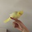CuPbRb