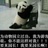 不会再爱