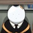 楠