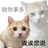 狐狸阿j