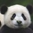 光荣与梦想