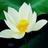 幻靈小小仙