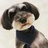 A 收大狗🐶小狗🐶