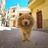 luckyin