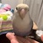 曲率飞行