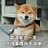 呱dd