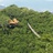 Yao