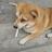 随便取个昵称吧