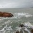 海