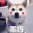 薄荷VAE