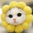 宅梦の猫