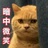 盖尼米德