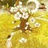 恨·花