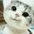 煊233