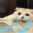 板砖碰头