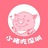小猪吃深圳