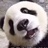 XOR