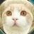 几里路遥
