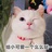 红宝宝