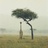 deerand