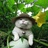 低功耗奶牛猫