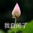 自闭小丁