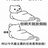 还是把我删了吧